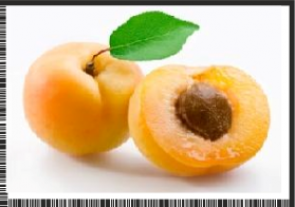 APRICOT.png