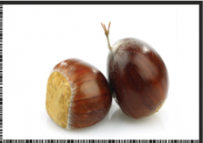 CHESTNUT.png1
