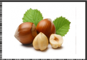 HUZELNUT.png1