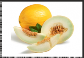 MELON.png