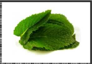 PEPPERMI.png1