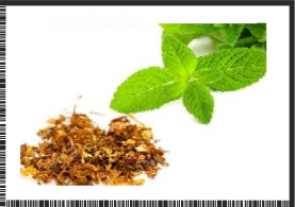 TOBACCOMINT.png
